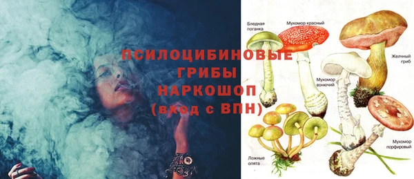 бутират Богданович